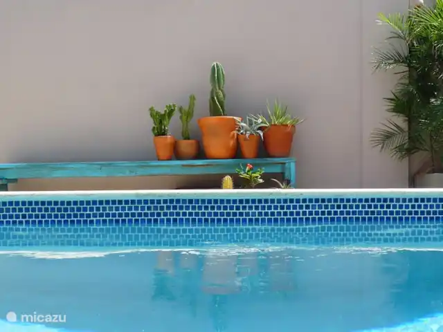 Location de Vacances Aruba, Oranjestad, San Barbola, maison de vacances - Cas Barbola, maison avec piscine privée Cas Barbola