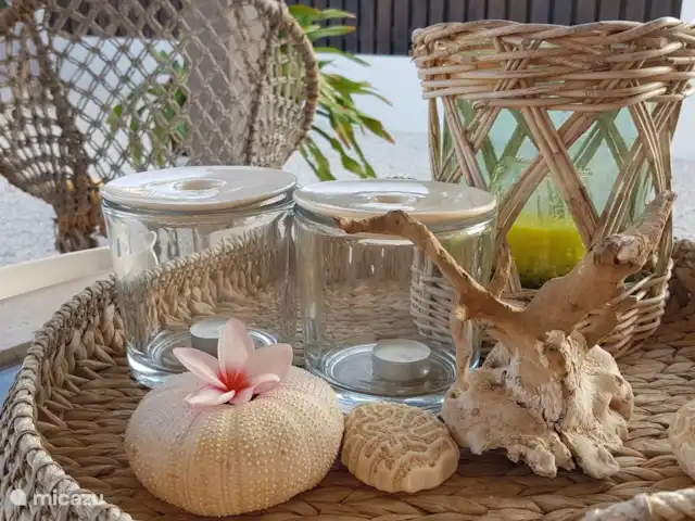 Location de Vacances Aruba, Oranjestad, San Barbola, maison de vacances - Cas Barbola, maison avec piscine privée Détails