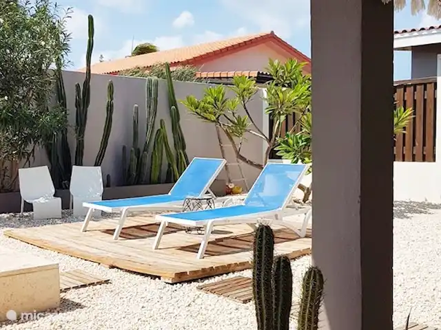 Location de Vacances Aruba, Oranjestad, San Barbola, maison de vacances - Cas Barbola, maison avec piscine privée Vue sur le jardin