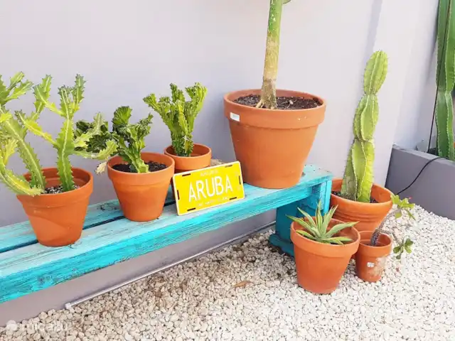 Location de Vacances Aruba, Oranjestad, San Barbola, maison de vacances - Cas Barbola, maison avec piscine privée jardin