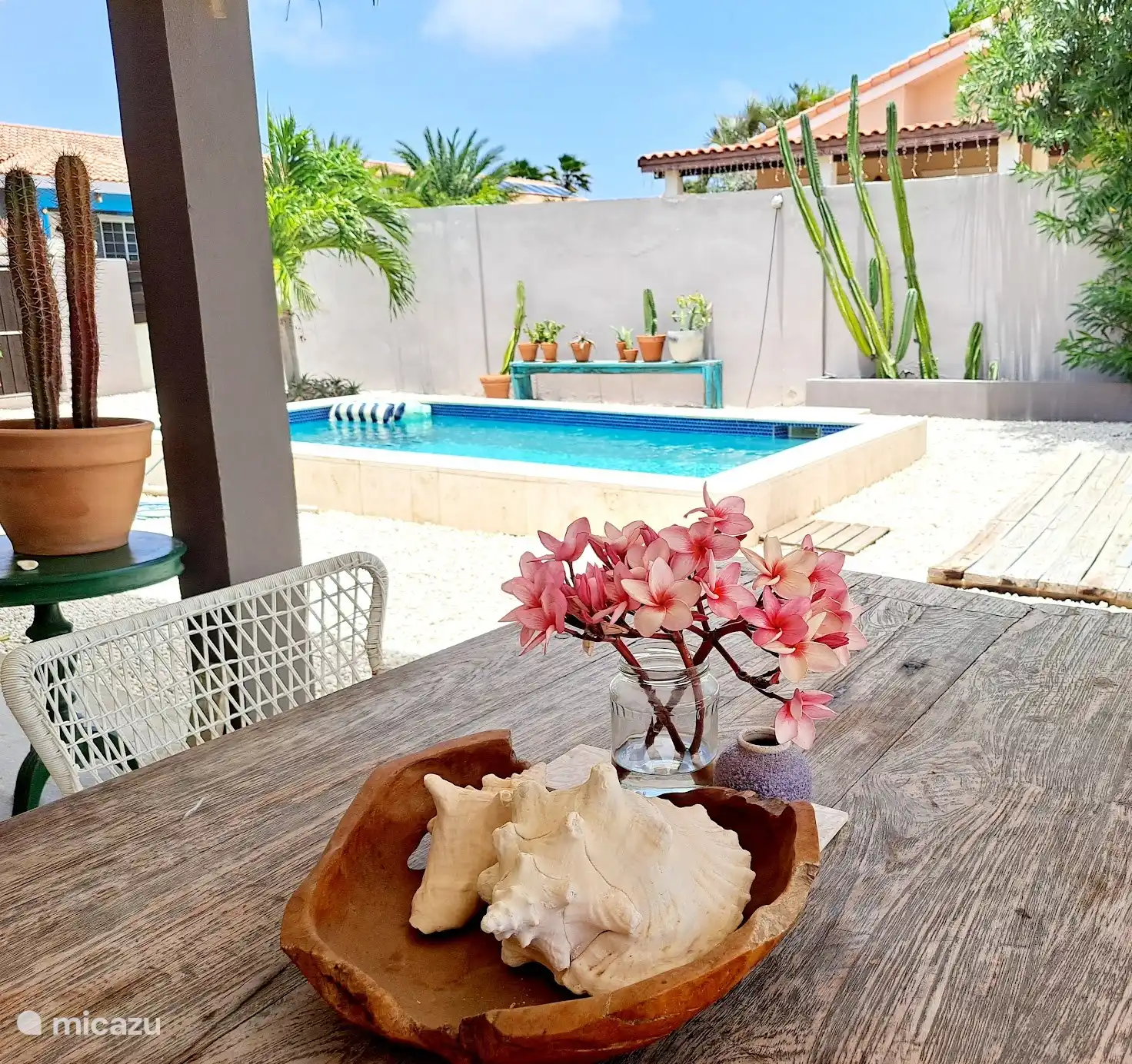 Jardin spacieux avec piscine