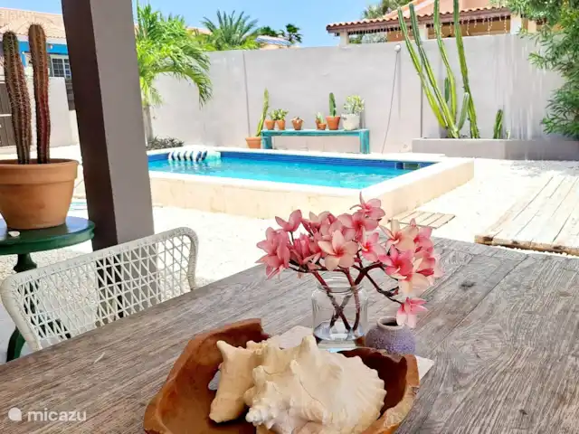 Location de Vacances Aruba, Oranjestad, San Barbola, maison de vacances - Cas Barbola, maison avec piscine privée Jardin spacieux avec piscine