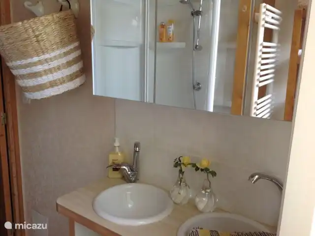 Domaine Charente - Gite Cardabelle en Francia, Charente, Mazières - casa vacacional Baño con amplia cabina de ducha