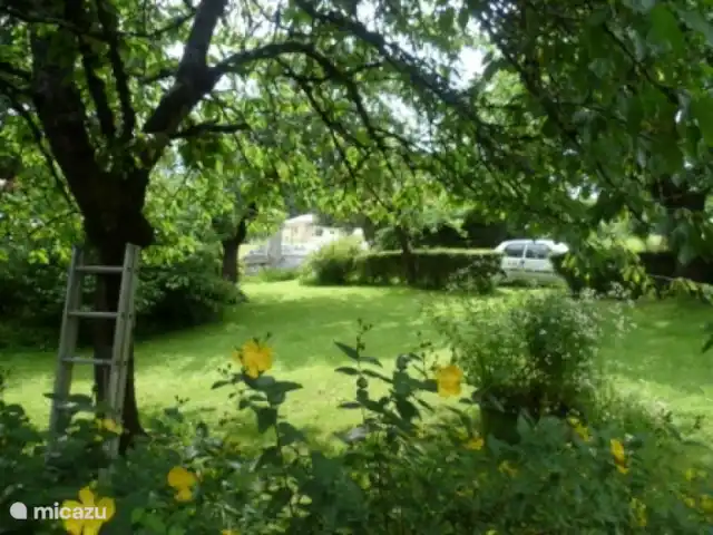 Domaine Charente - Gite Cardabelle en Francia, Charente, Mazières - casa vacacional En el jardín entre los árboles frutales, castaños y... ¡la vieja Magnolia!