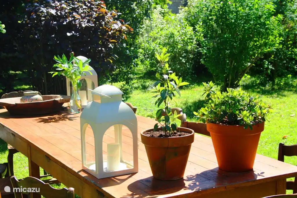 Shared coffee / drink table in the front garden of Domaine Charente