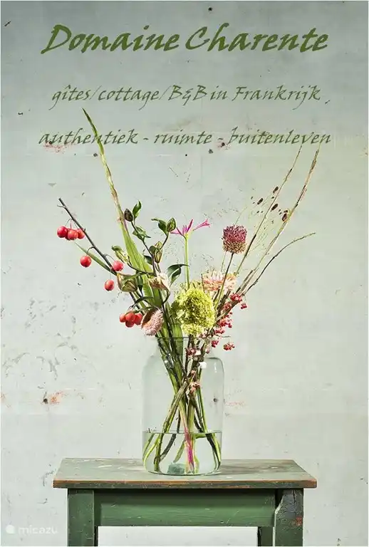 info about the magnolia 2018