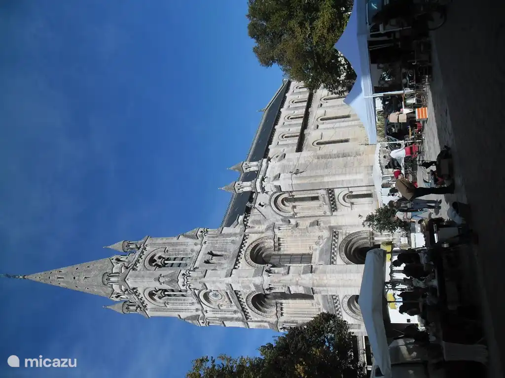 Angouleme, enjoy shopping here is not a punishment. Shops and boutiques, cafes and a variety of restaurants, museums, etc. Angouleme is quite lively; throughout the year there are markets, vide grenier or other pleasant activities. With less than 40 minutes from us ...