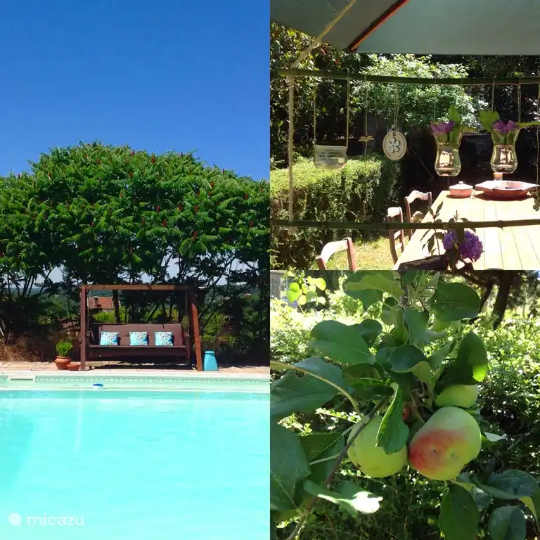 Breakfast, lunch, bbq ..... terraces and places enough!