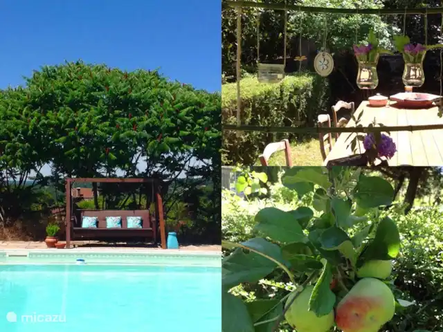 Domaine Charente - Gite Cardabelle en Francia, Charente, Mazières - casa vacacional Varios jardines y terrazas, árboles frutales y flores. ¡Toda la libertad para disfrutar y jugar!