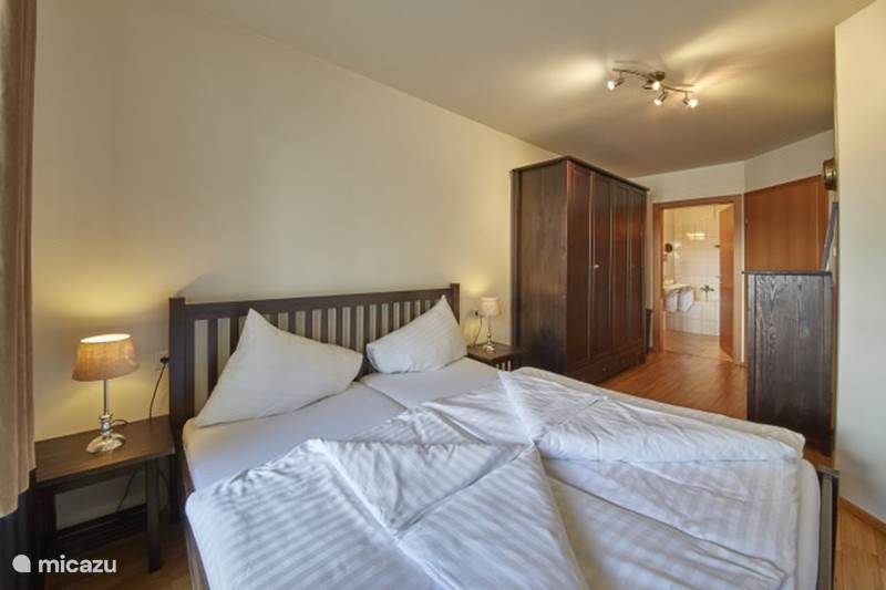 Vacation rental Austria, Salzburgerland, Saalbach Apartment Apartment Danielle