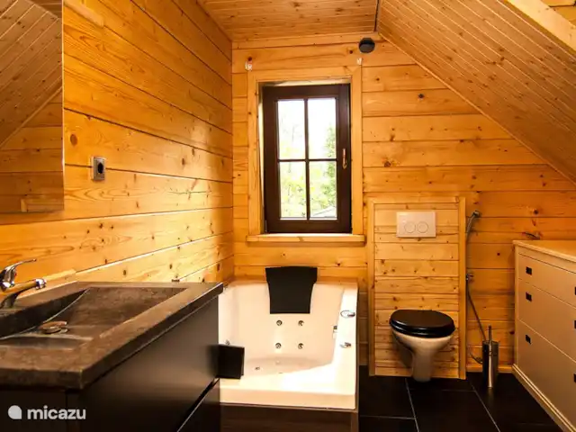 Houten villa Tine huren in Nederland, Overijssel, Den Ham - vakantiehuis Badkamer
