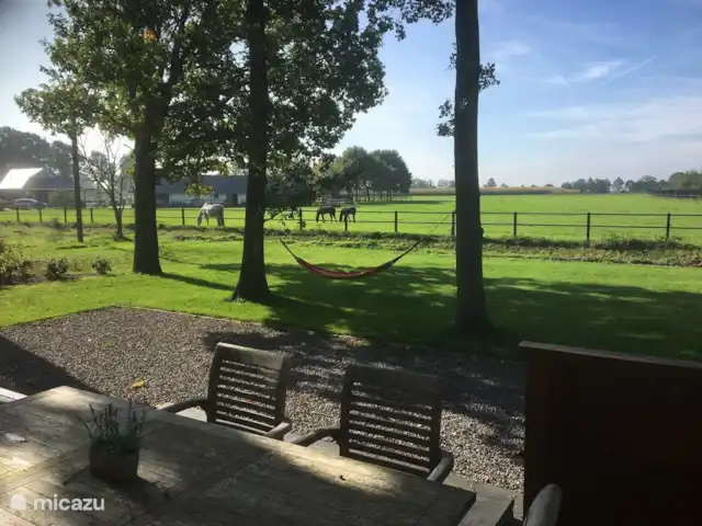 Houten villa Tine huren in Nederland, Overijssel, Den Ham - vakantiehuis uitzicht