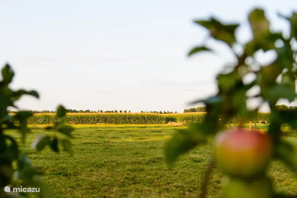 Het Veldzicht huren in België, West-Vlaanderen, Brugge - Appartement