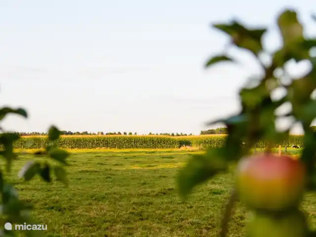 appartement huren in België, West-Vlaanderen, Brugge – Het Veldzicht Het veldzicht