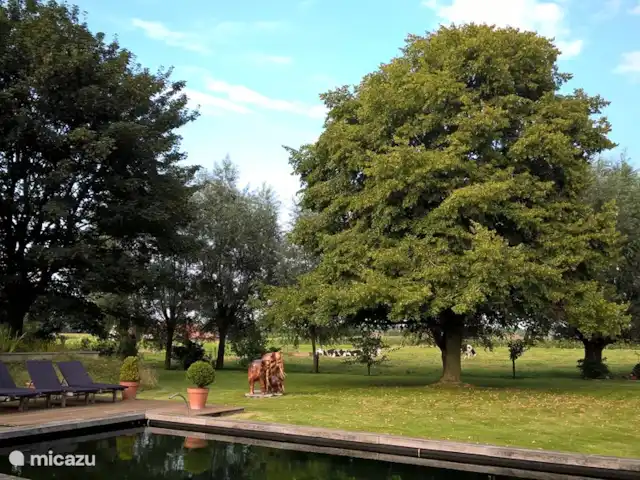 appartement huren in België, West-Vlaanderen, Brugge – Het Veldzicht Tuin