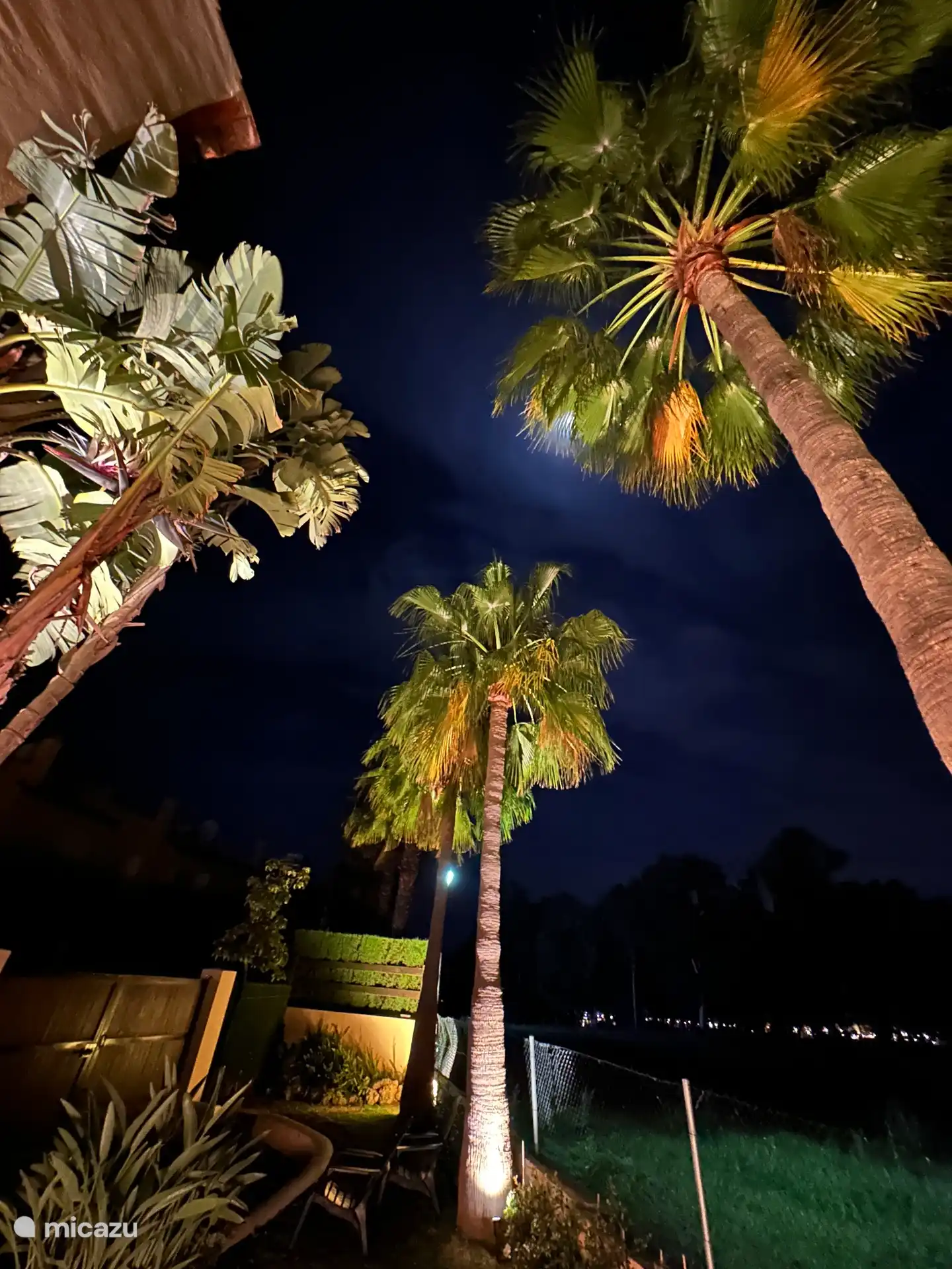 Die Palmen im Garten sind abends wunderschön beleuchtet
