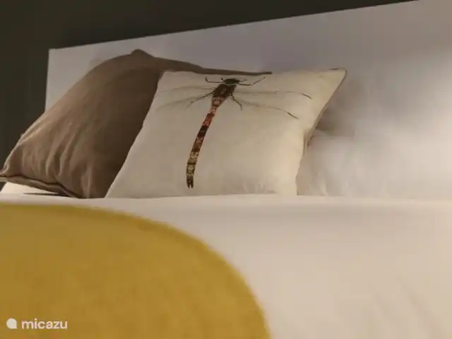 Casa Condes de Iza huren in Spanje, Costa del Sol, Marbella - vakantiehuis Luxe dikke matrassen