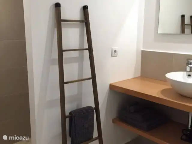 Casa Condes de Iza huren in Spanje, Costa del Sol, Marbella - vakantiehuis Badkamer op souterrain niveau met douche en wastafel