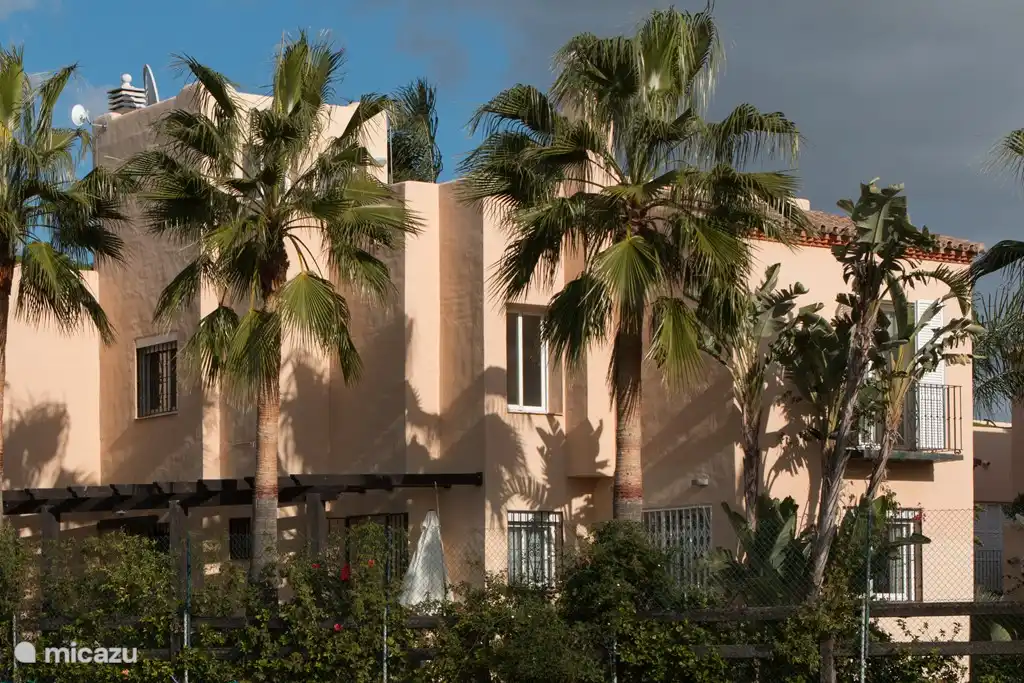 Dies ist die (kostenlos) Blick auf den Garten hinter dem Haus. Keine hinteren Nachbarn, und die gesamte Länge des Gebäudes Terrasse, Rasen und Palmen.