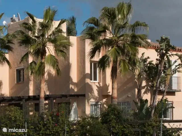 Casa Condes de Iza huren in Spanje, Costa del Sol, Marbella - vakantiehuis Dit is het (vrije) uitzicht op de achtertuin. Geen achterburen, en over de gehele lengte van het pand terras, gazon en palmbomen.