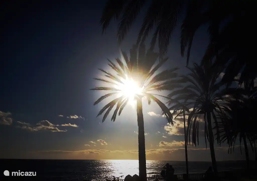 Sonnenuntergang auf dem schönen Boulevard von Marbella, gegen 6 Uhr abends. Sie werden das absolut genießen!