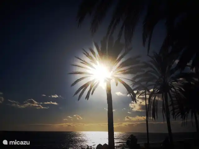 Casa Condes de Iza huren in Spanje, Costa del Sol, Marbella - vakantiehuis Sunset op de mooie boulevard van Marbella, gemaakt rond 6 uur ’s avonds. Jullie gaan hier absoluut genieten!