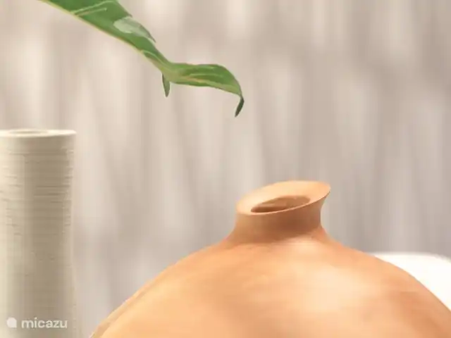 Casa Condes de Iza huren in Spanje, Costa del Sol, Marbella - vakantiehuis Accessoires op tafel