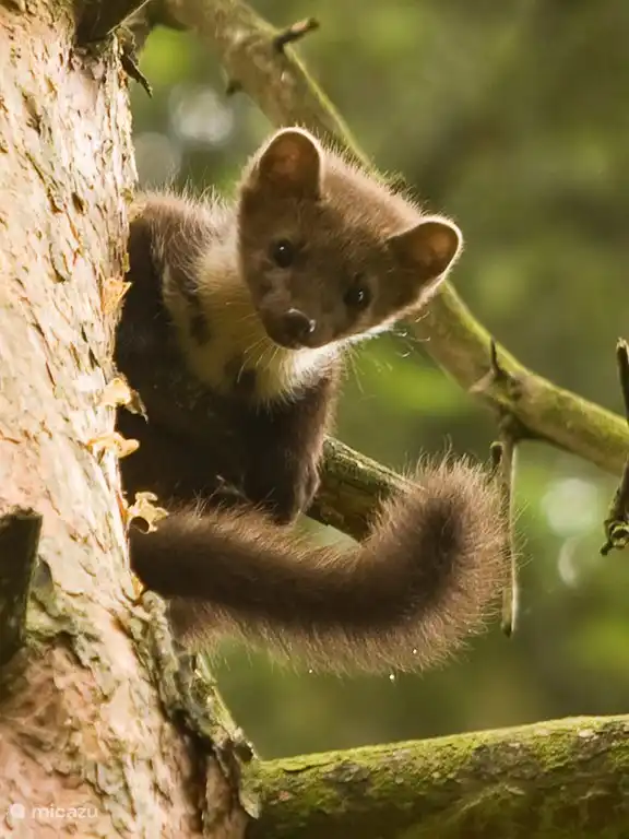 Arnold &amp; Christine