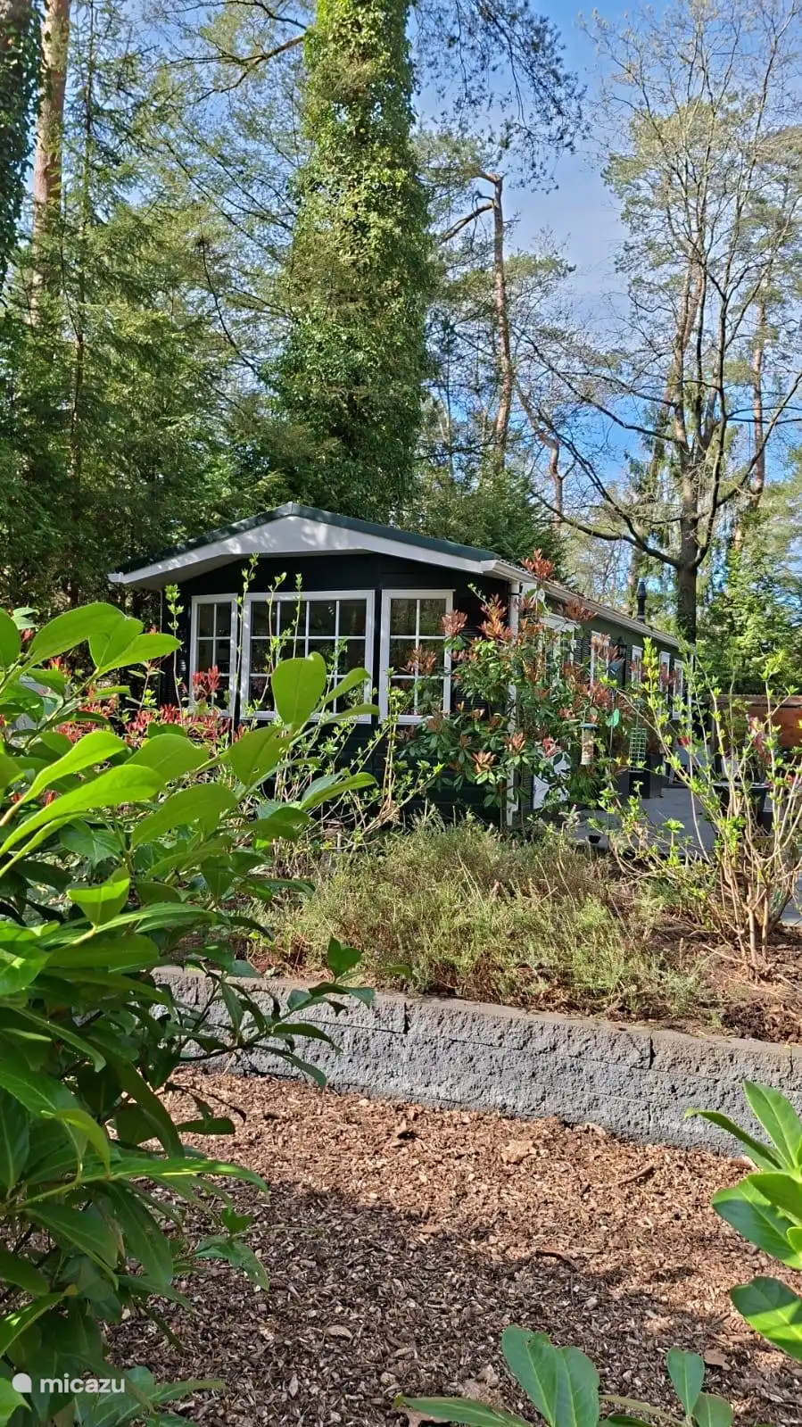 The Pine Marten in Netherlands, Gelderland, Emst - Chalet