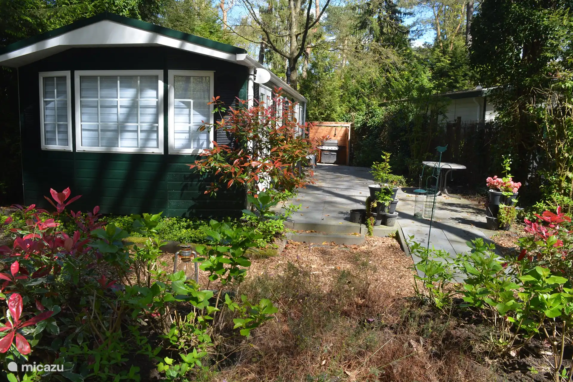 The Pine Marten in Netherlands, Gelderland, Emst - Chalet