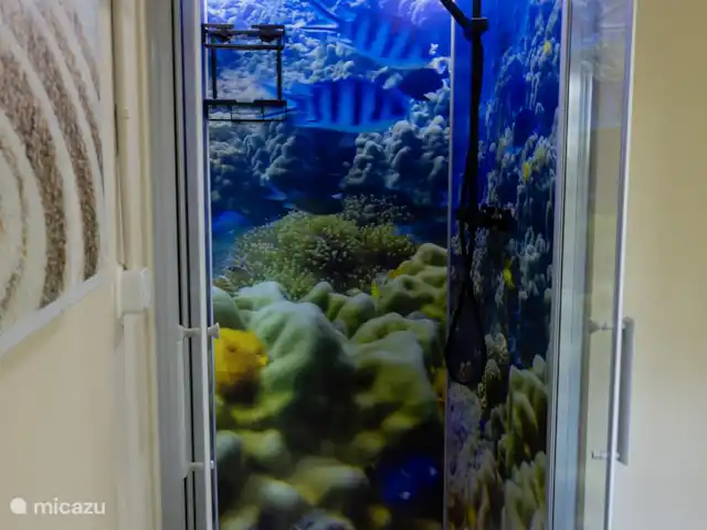 La martre des arbres | Pays-Bas, Gueldre, Emst (Epe) - chalet Plongez dans un récif tropical tous les jours ! ???? Notre nouvelle cabine de douche transforme chaque douche en mini-vacances.