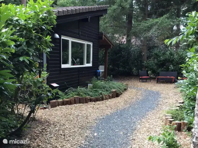 La martre des arbres | Pays-Bas, Gueldre, Emst (Epe) - chalet Notre autre maison forestière le Coucou – confortable, confortable et tout aussi verte ??
 maison de Koekoek