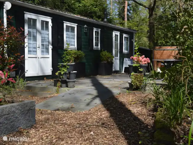 La martre des arbres | Pays-Bas, Gueldre, Emst (Epe) - chalet Nouveauté 2024 : une veste verte Zaans fraîche, un clin d’œil à nos racines.