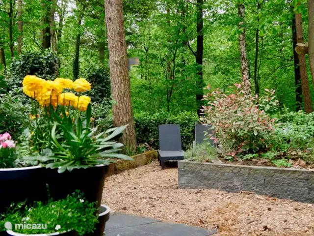 La martre des arbres | Pays-Bas, Gueldre, Emst (Epe) - chalet Un jardin à apprécier, plein de couleurs et de parfums.