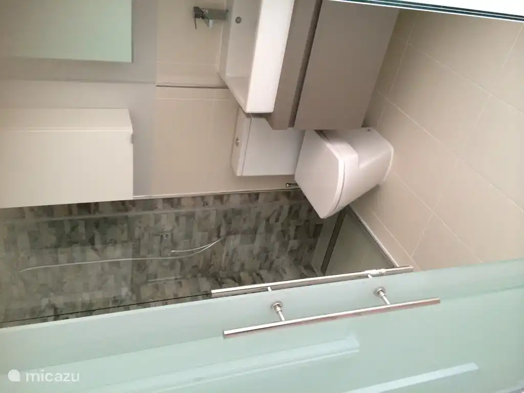 Salle de bain 1 dans la chambre 1