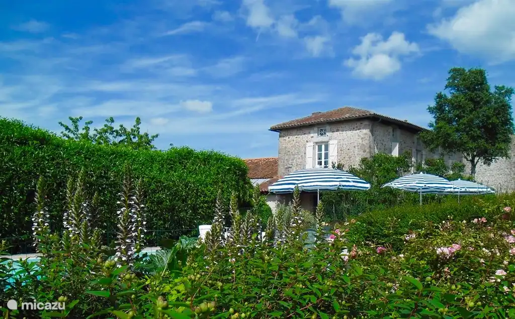 Overzicht van ons domein