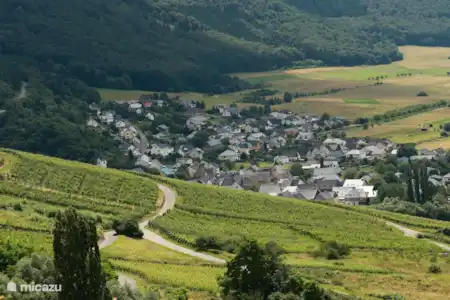 Vakantiehuis Duitsland, Moezel, Veldenz vakantiehuis Zum Hollander Veldenz vanaf de Josefine HOHE