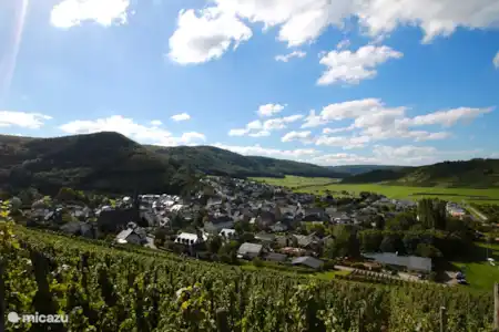 Vakantiehuis Duitsland, Moezel, Veldenz vakantiehuis Zum Hollander Veldenz