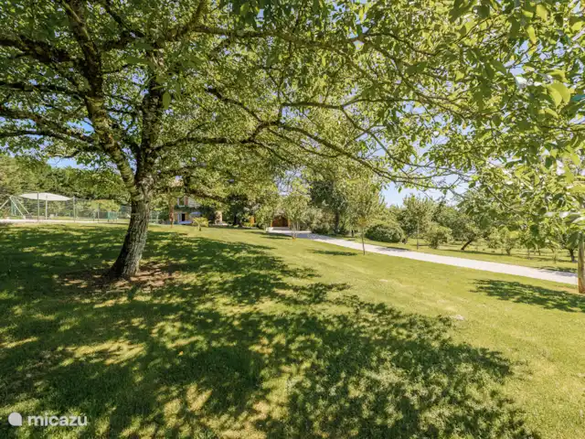 Casalle | France, Lot, Montcléra - maison de vacances Jardin