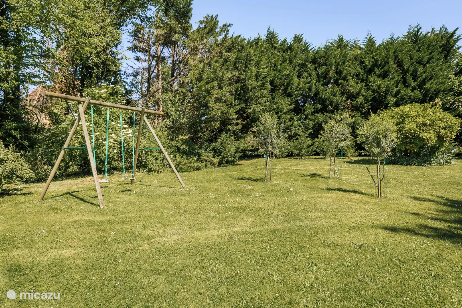 Garden with swings
