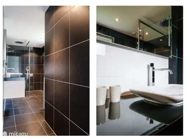 vakantiehuis huren in Nederland, Friesland, Oudemirdum – Vakantiehuis Friesland Riante badkamer met regendouche en wasmachine.