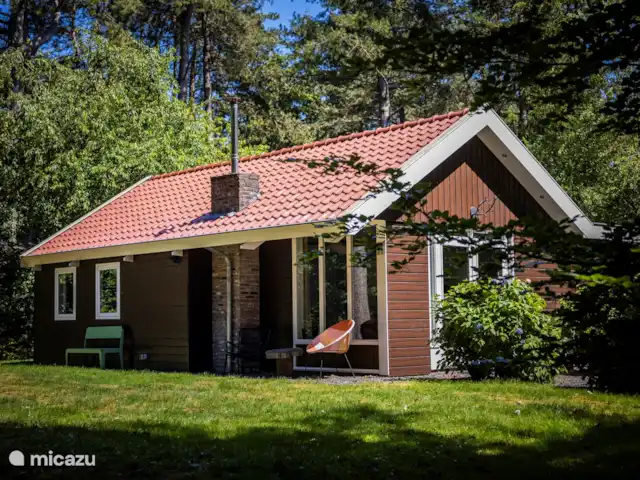 vakantiehuis huren in Nederland, Friesland, Oudemirdum – Vakantiehuis Friesland Prachtig gelegen aan de bosrand.
