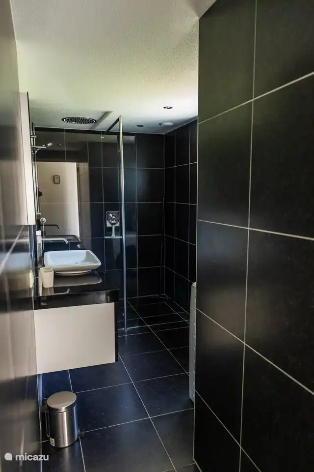 Geräumiges Badezimmer mit Dusche, Waschbecken und Waschmaschine.