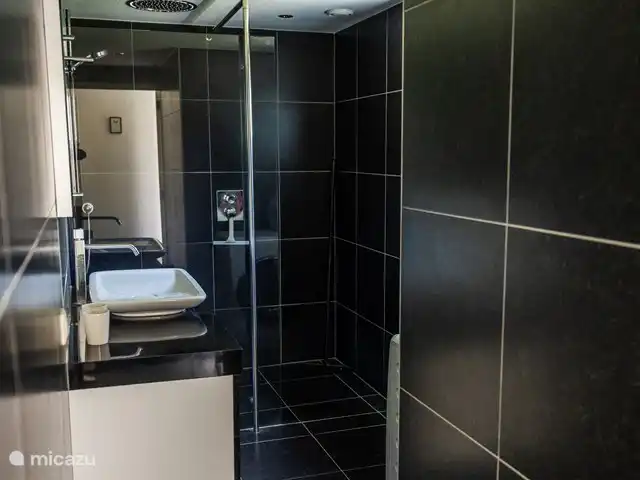 vakantiehuis huren in Nederland, Friesland, Oudemirdum – Vakantiehuis Friesland Ruime badkamer met douche, wastafel en wasmachine.