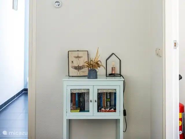 vakantiehuis huren in Nederland, Friesland, Oudemirdum – Vakantiehuis Friesland Tijdschriften en boeken om eindeloos te ontspannen.