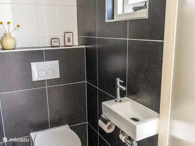 vakantiehuis huren in Nederland, Friesland, Oudemirdum – Vakantiehuis Friesland Ruime WC.