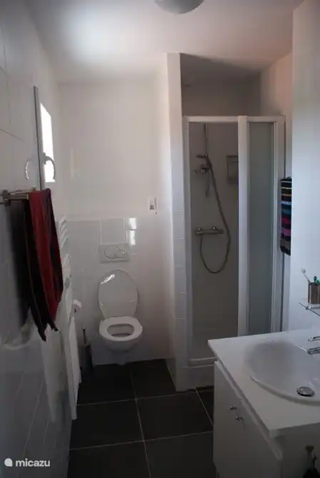 1. Stock Bad mit Waschbecken, WC, Dusche und Handtuchheizkörper.