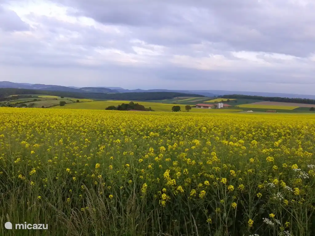 Umgebung direkt am Haus