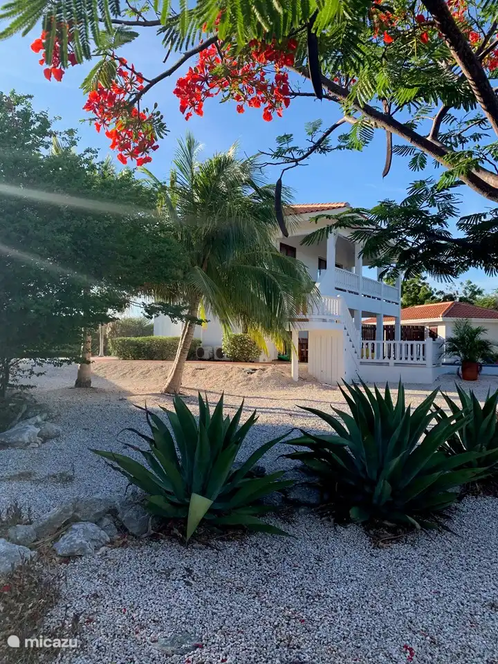 Villa Coral Curazao en Curazao, Bandabou (oeste), Coral Estate, Rif St.Marie - Villa