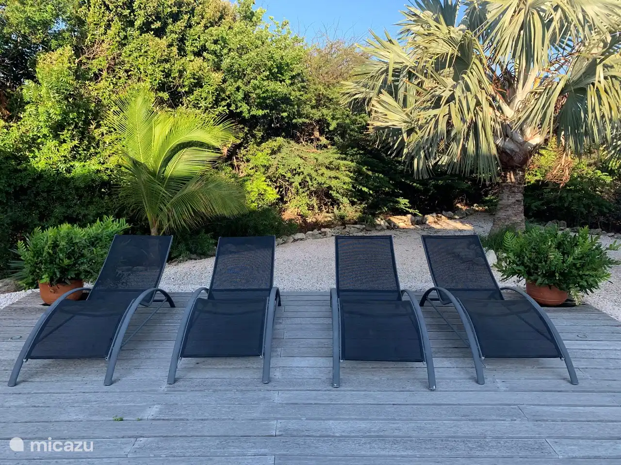 Sonnenliegen am Pool